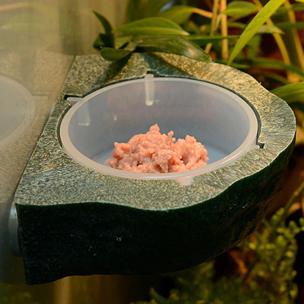 New Reptile Gecko Food Water Bowl Magnetic Adsorption