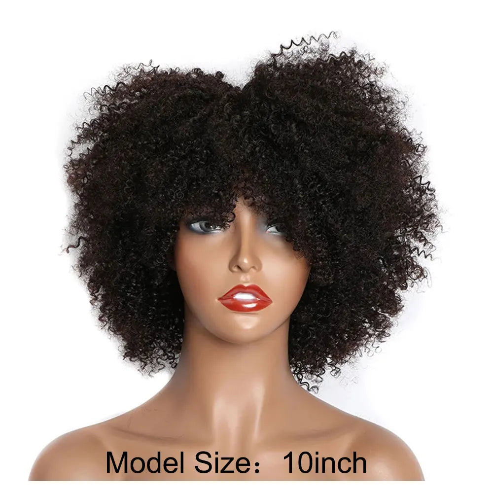 Short Curly Human Hair wigs for Black Women