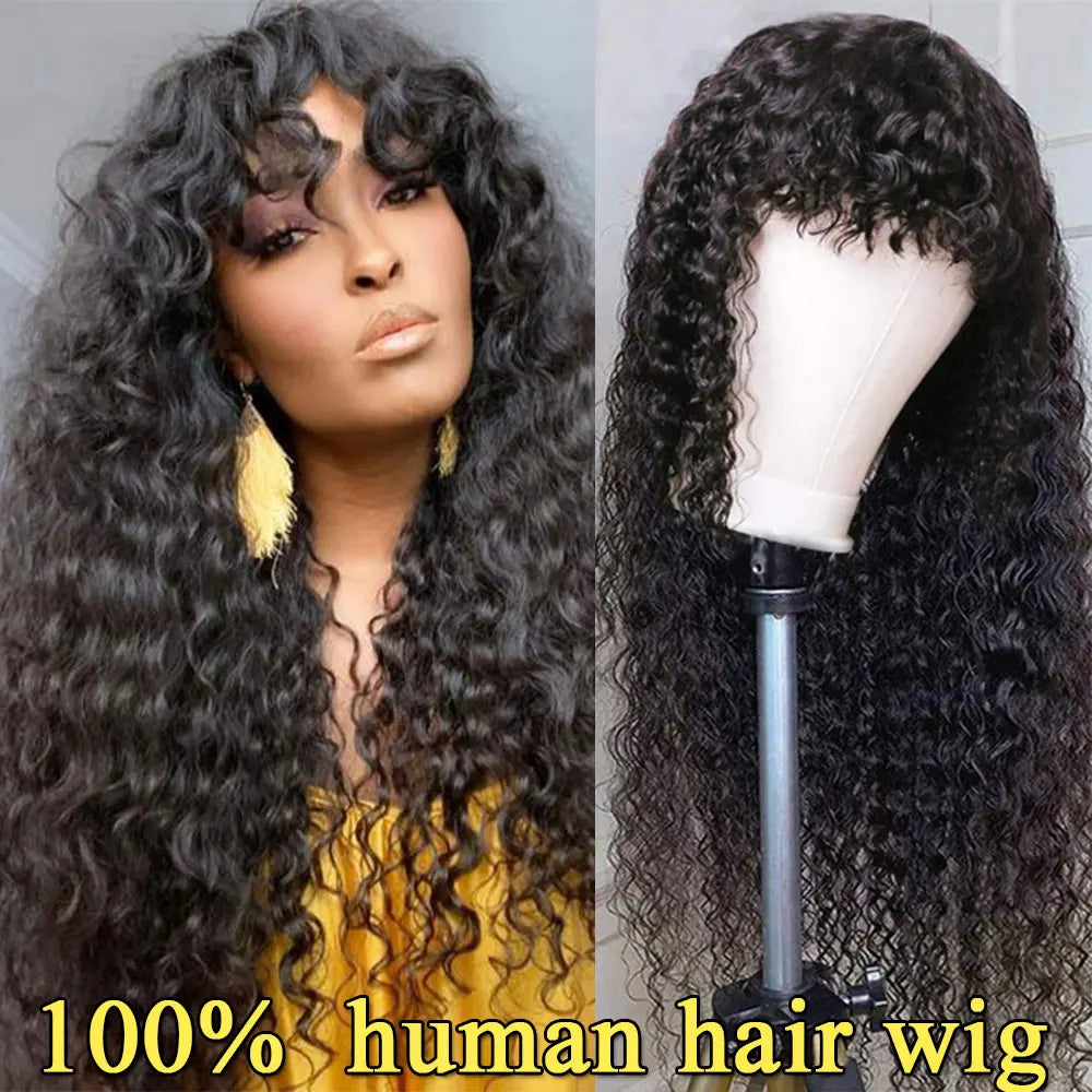 100% Human Hair Wigs Straight Hair With Bang