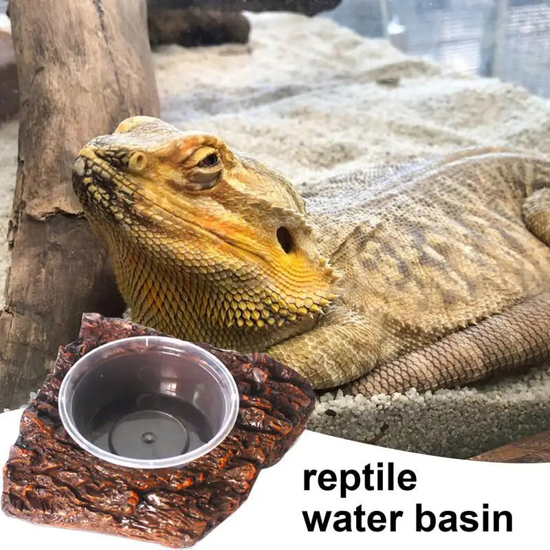 Snake Water Bowl Resin Reptile Food Dish Bearded