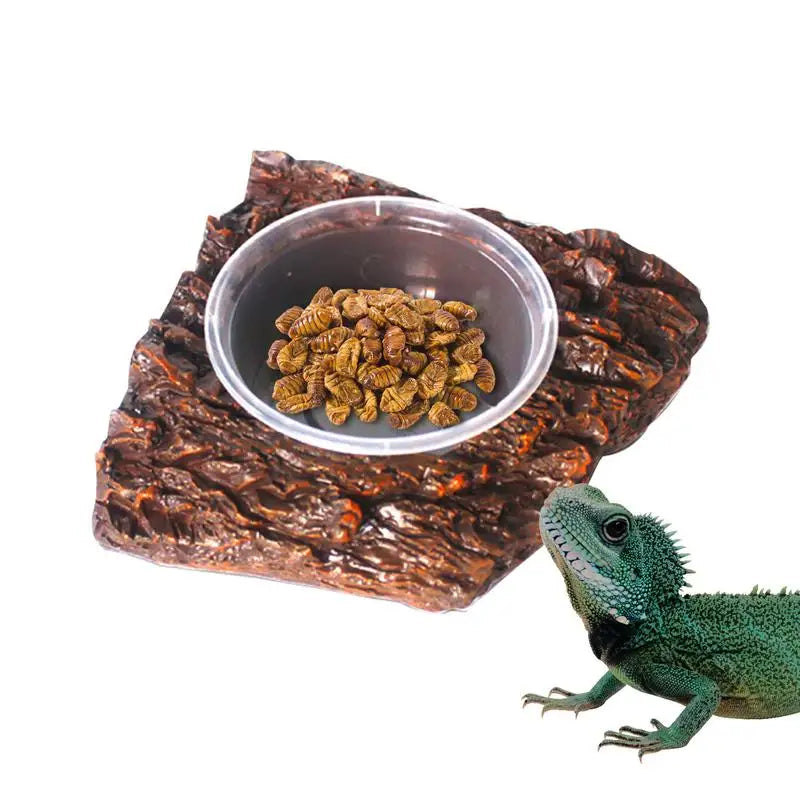 Reptile Water Bowl Resin Reptile Food Dish Bearded