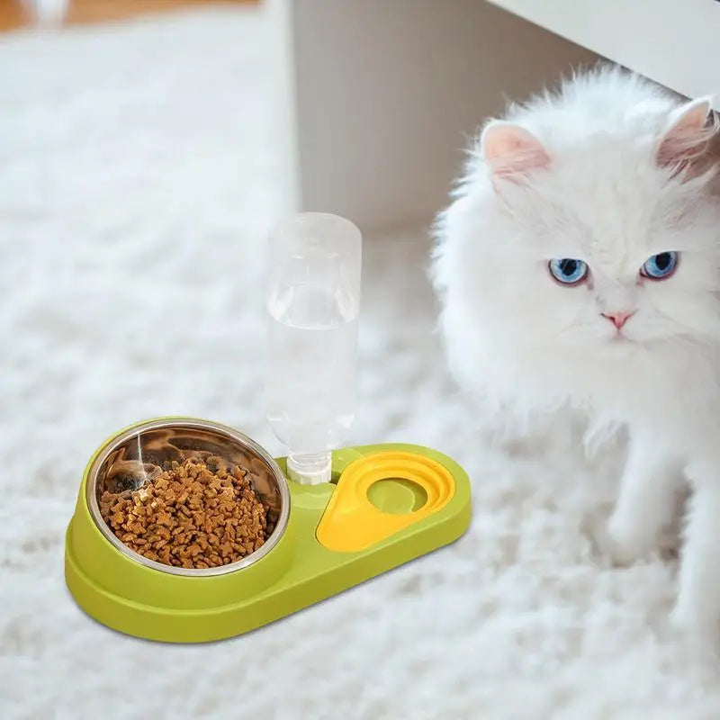 Tilted Cat Food Bowl Set Automatic Pet Water