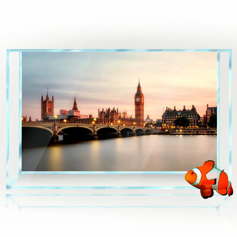Aquarium Background 3D UK River Bridge London Building