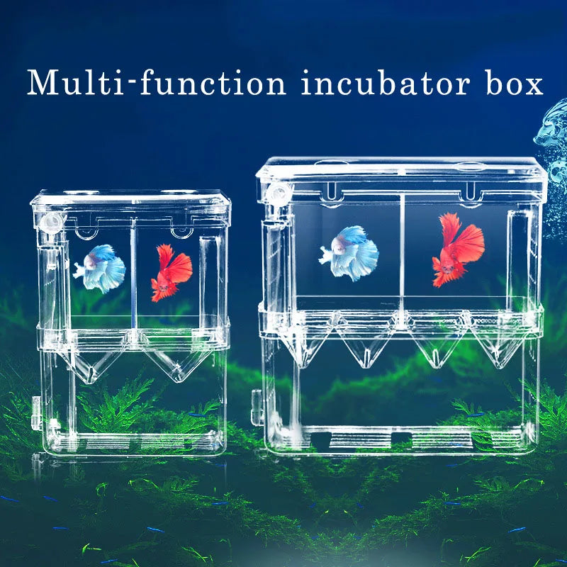 Double-Deck Clear Fish Breeding Isolation Box Aquarium Breeder