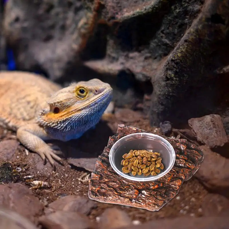 Snake Water Bowl Resin Reptile Food Dish Bearded