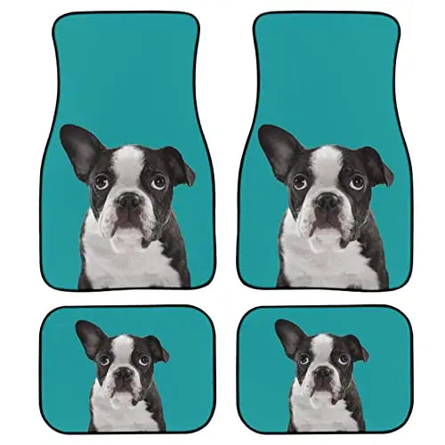 Custom Made Car Floor Mats Front & Rear