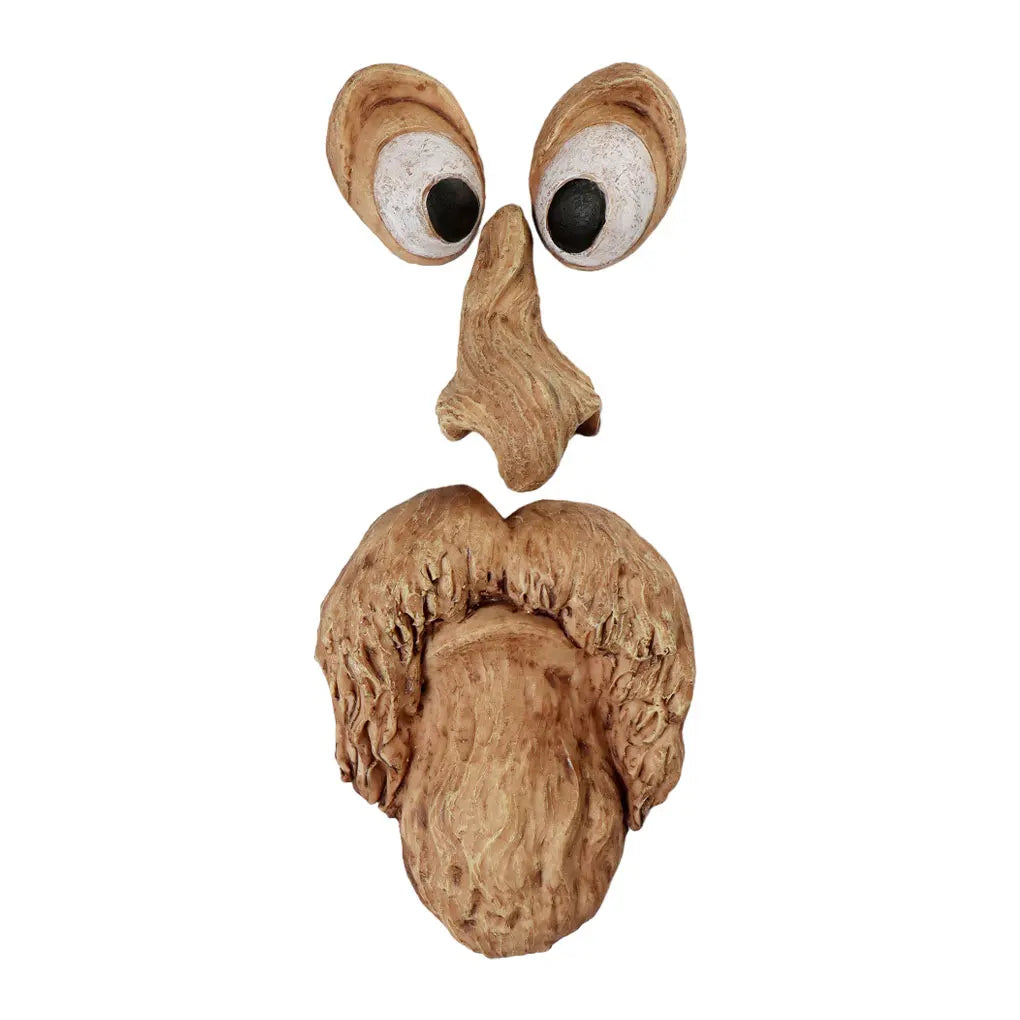 Bark Ghost Face Facial Features Old Man Tree