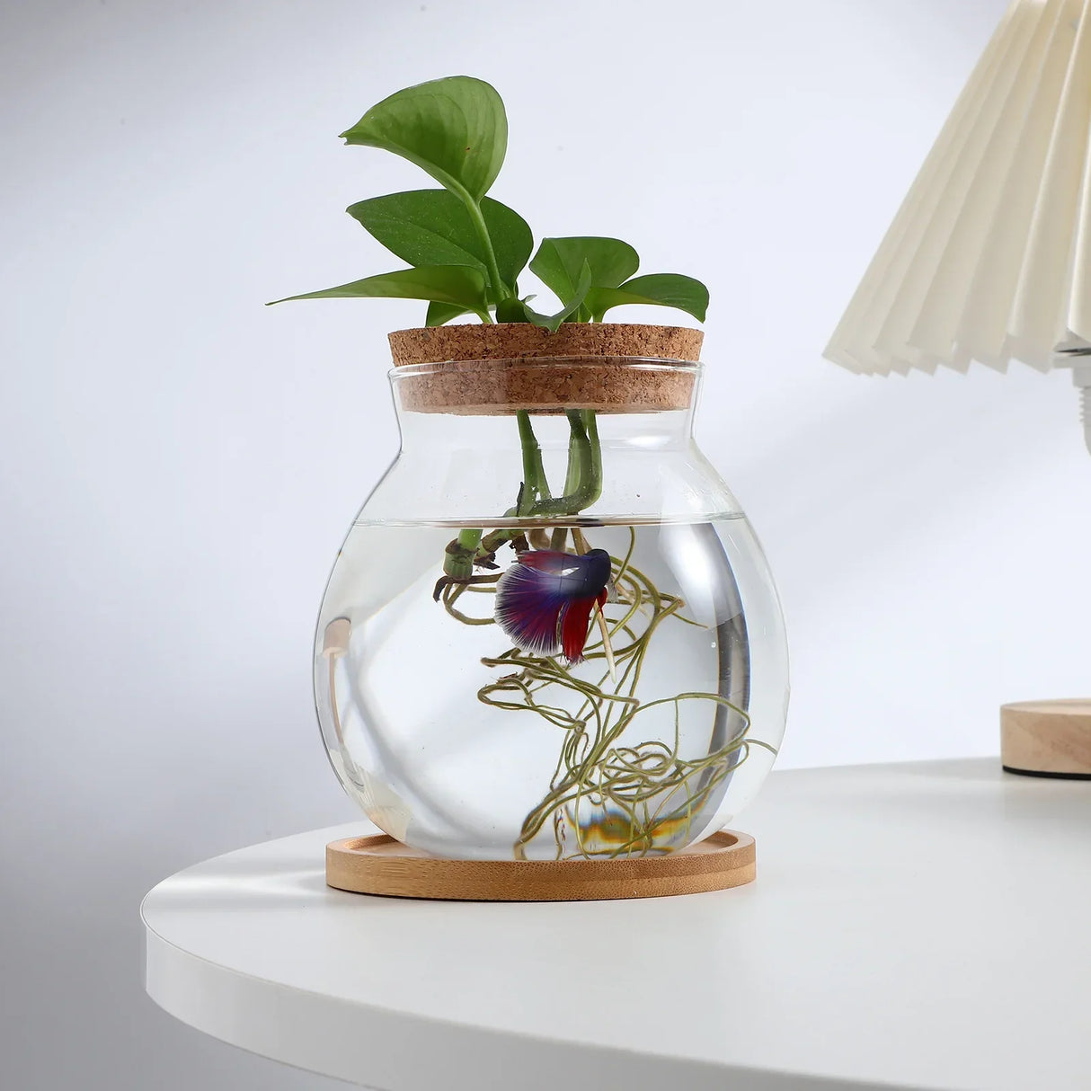 Glass Fish Bowl Lid Small Betta Tank Terrarium