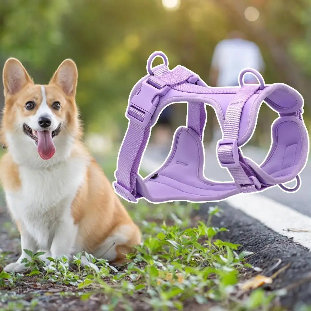 Chest Harness Leash Micro Elastic Easy to Clean