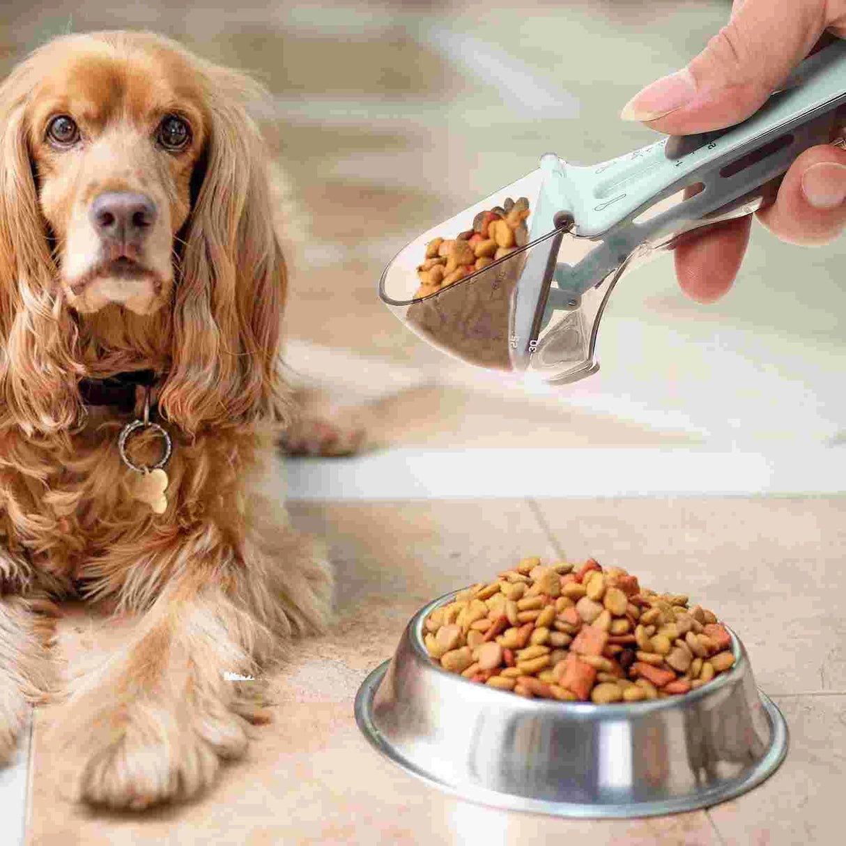 Pet Measuring Spoon Bakeware Tools & Scales for