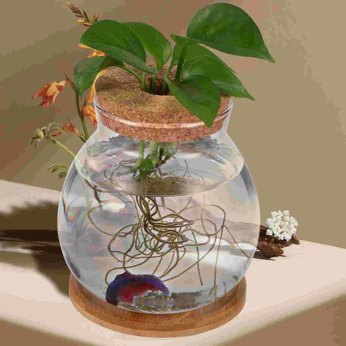 Glass Fish Bowl Lid Small Betta Tank Terrarium