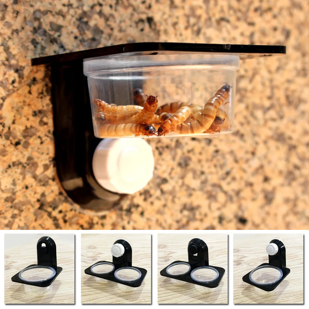 1* Reptile Tank Insect Spider Ants Nest Snake