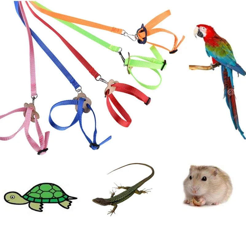 Adjustable Pet Parrot Traction Strap Anti-bite Training Rope