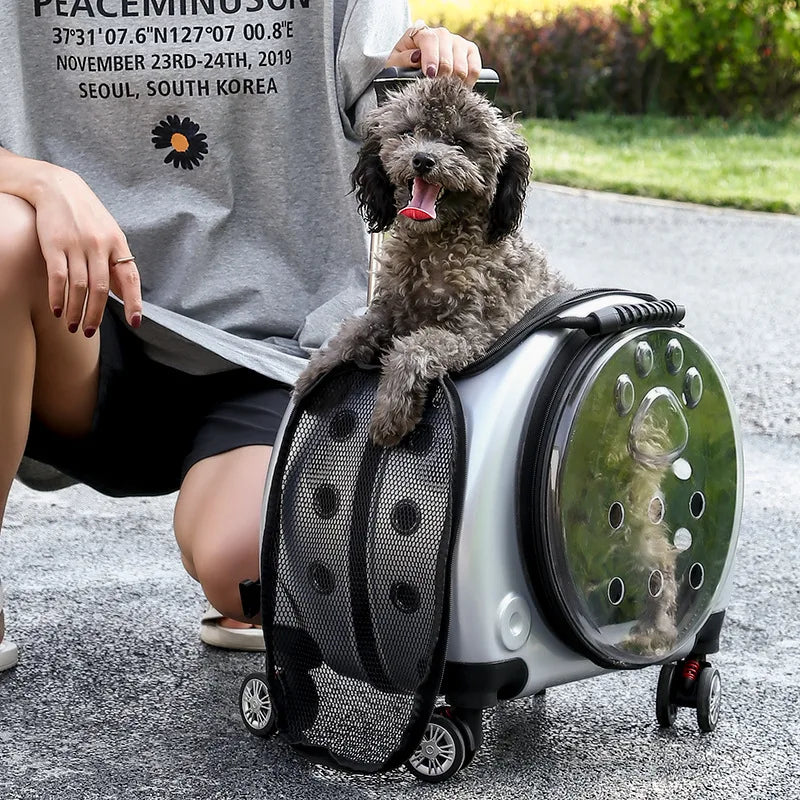 Small Transparent Pet Trolley Case Capsule Portable Dog