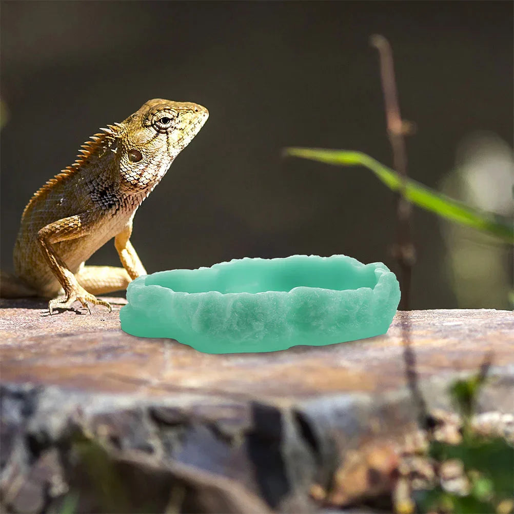 Reptile Feeding Bowl Resin Reptile Water Dish Food