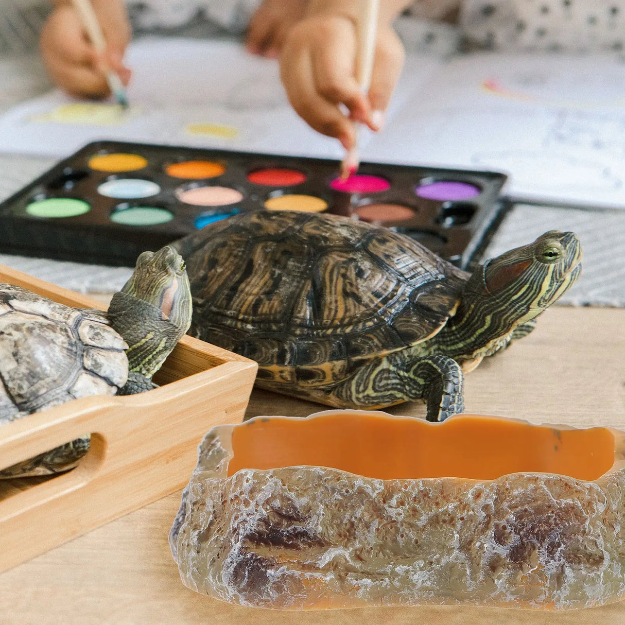 Pet Feeding Bowl Resin Reptile Food Holder Supply