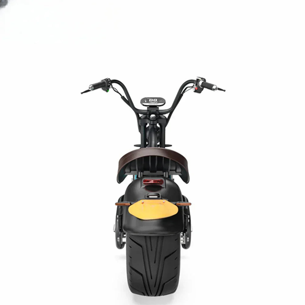 Fat Tire City Coco Electric Motorcycle Halley Electric