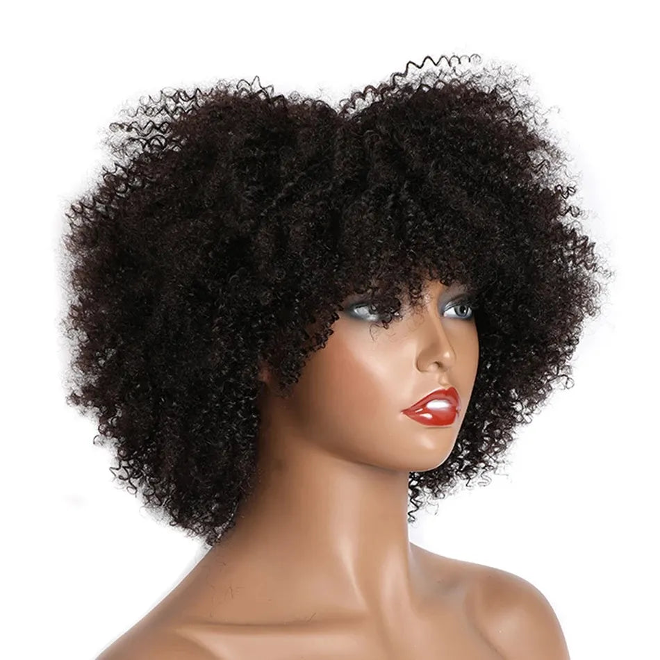 Short Curly Human Hair wigs for Black Women