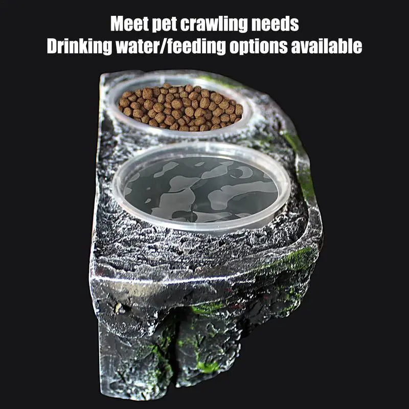 Reptile Food And Water Feeder Reptile Food Dish
