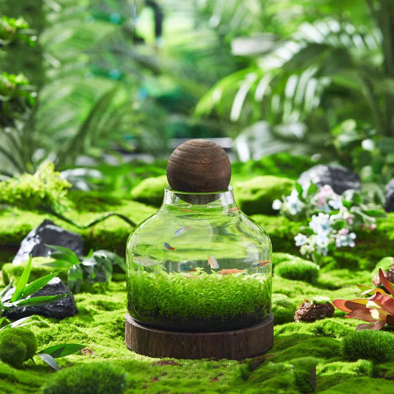 Ecological Bottle Micro Landscape Glass Ecological Fish Tank