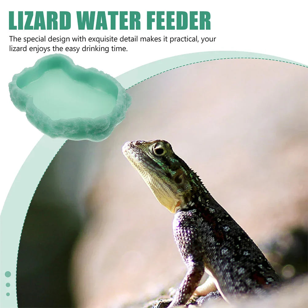 Reptile Feeding Bowl Resin Reptile Water Dish Food