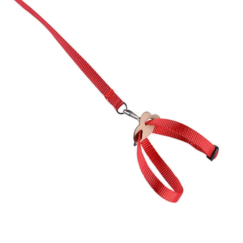 Adjustable Pet Parrot Traction Strap Anti-bite Training Rope