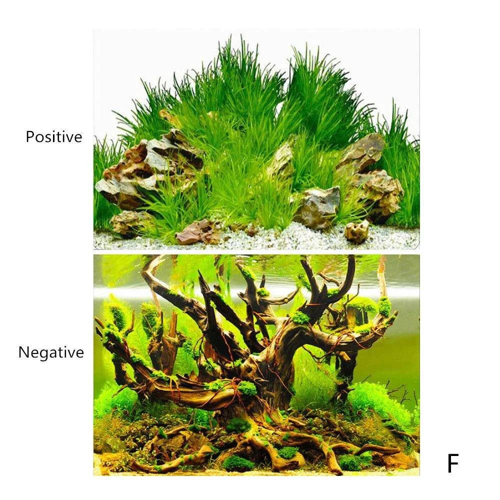 Double-sided Aquarium Landscape Sticker Poster Fish Tank 3D