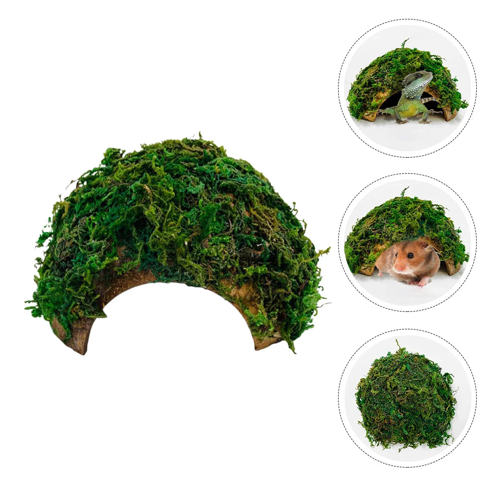 Reptile Hideout House Hamster Turtle Habitat Shelter Terrarium