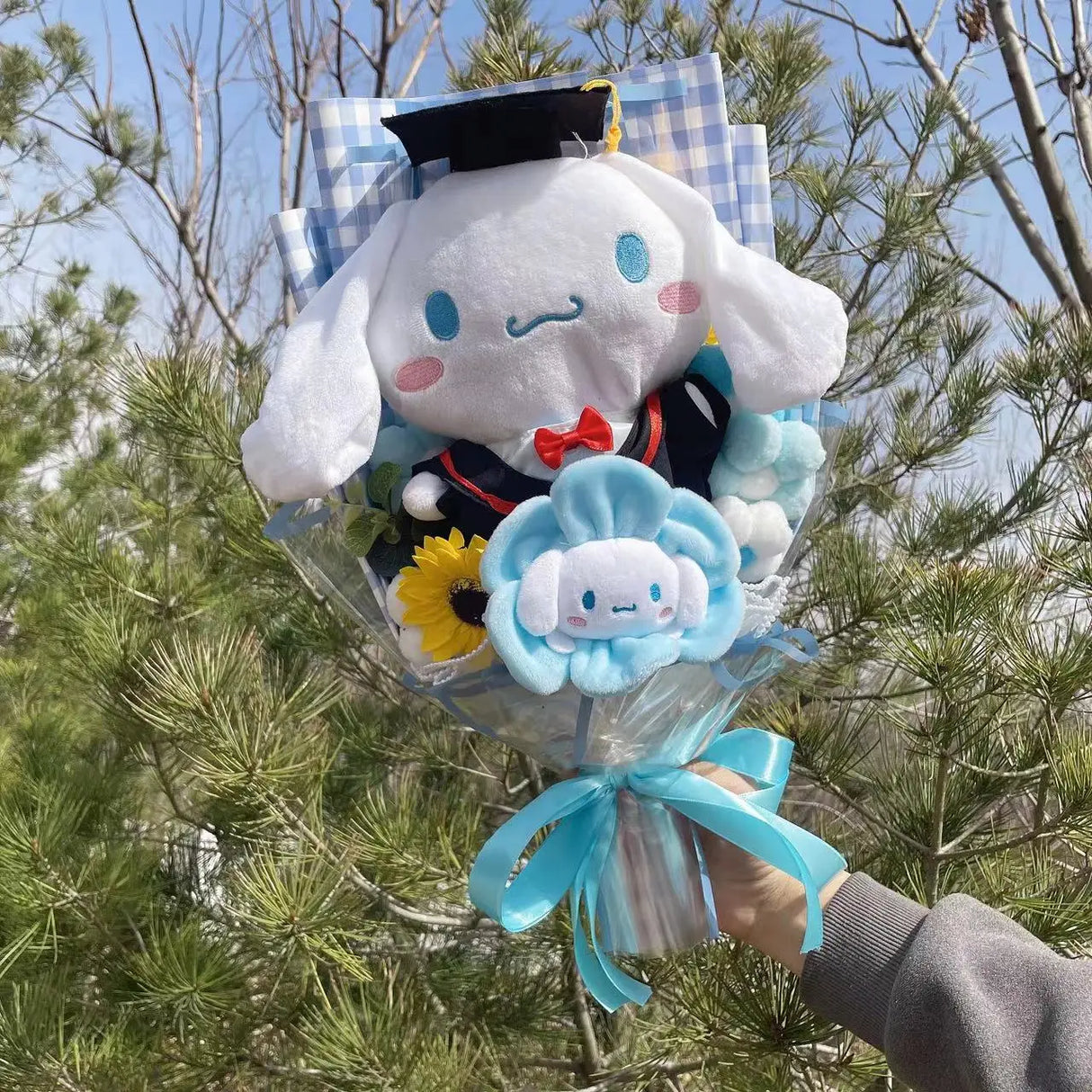 Cartoon My Melody Kuromi Cinnamoroll With graduation hats