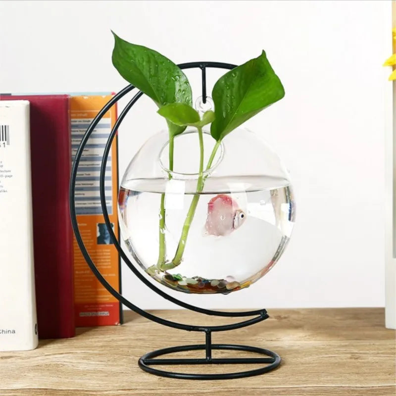 Creative Mini Clear Glass Aquarium Goldfish Bowl Hanging