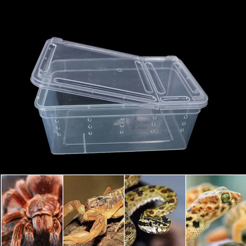 Large Terrarium Reptile Feeding Box with Bowl Lizard