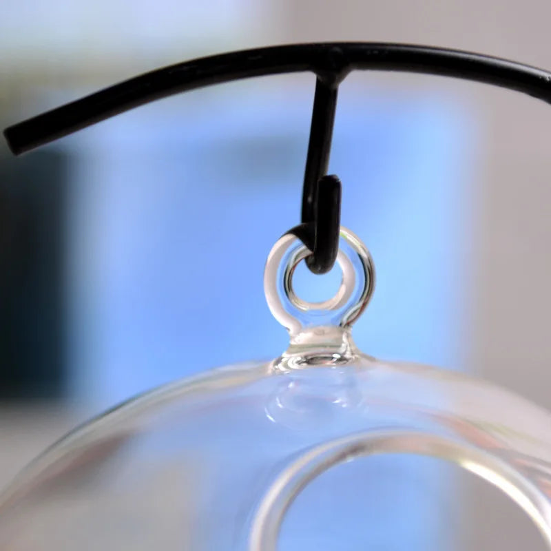 Creative Mini Clear Glass Aquarium Goldfish Bowl Hanging