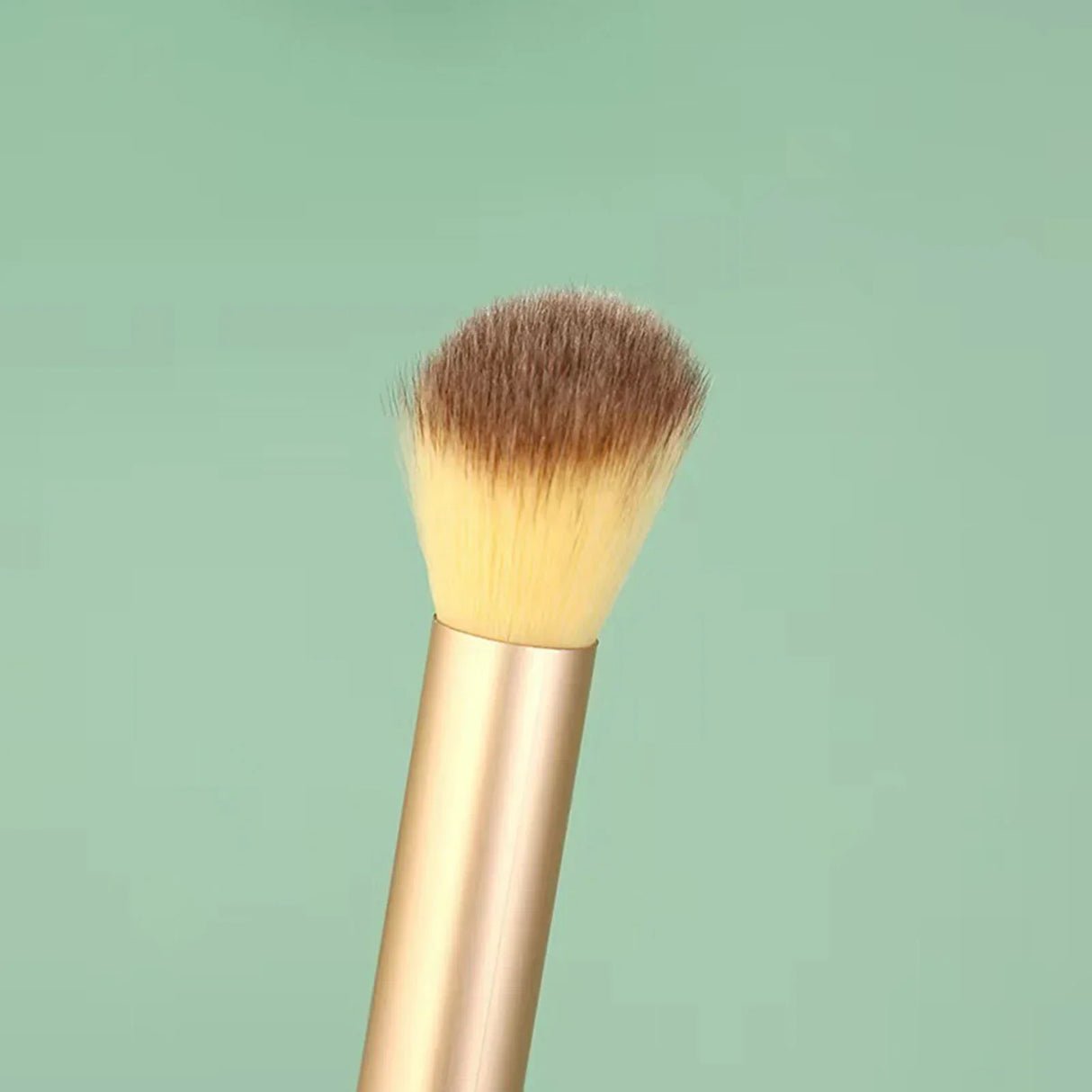 13pcs Essentials Makeup Brushes Set Portable Cosmetic Brushes