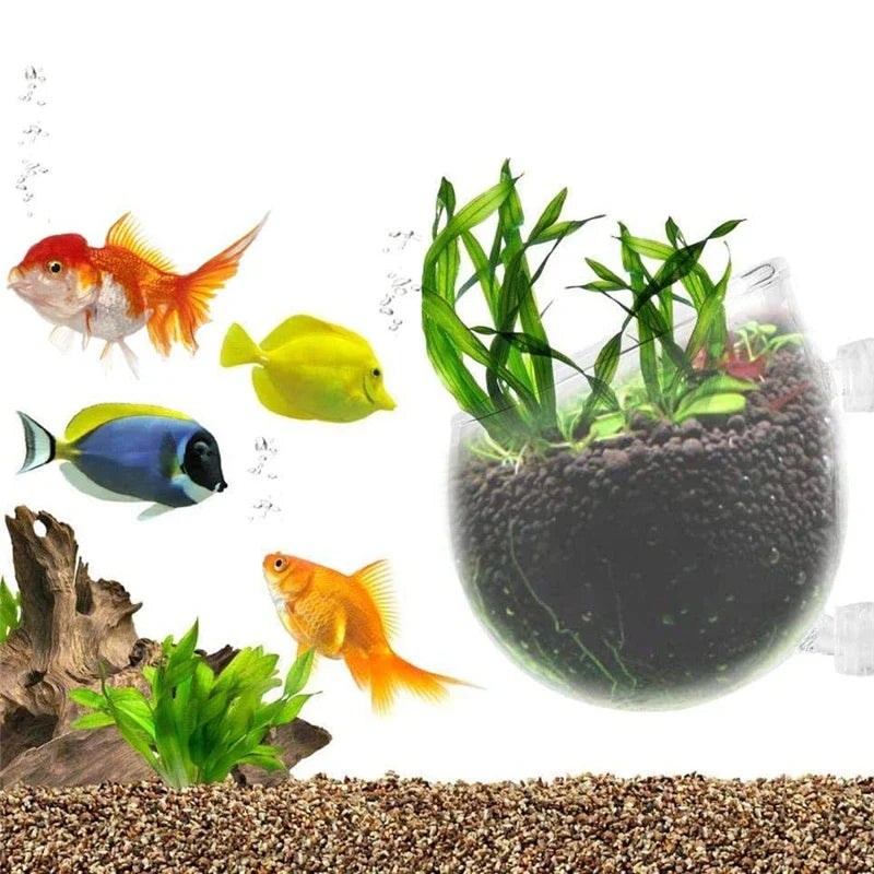 Aquarium Plant Pot Glass Cylinder Cup With Suckers