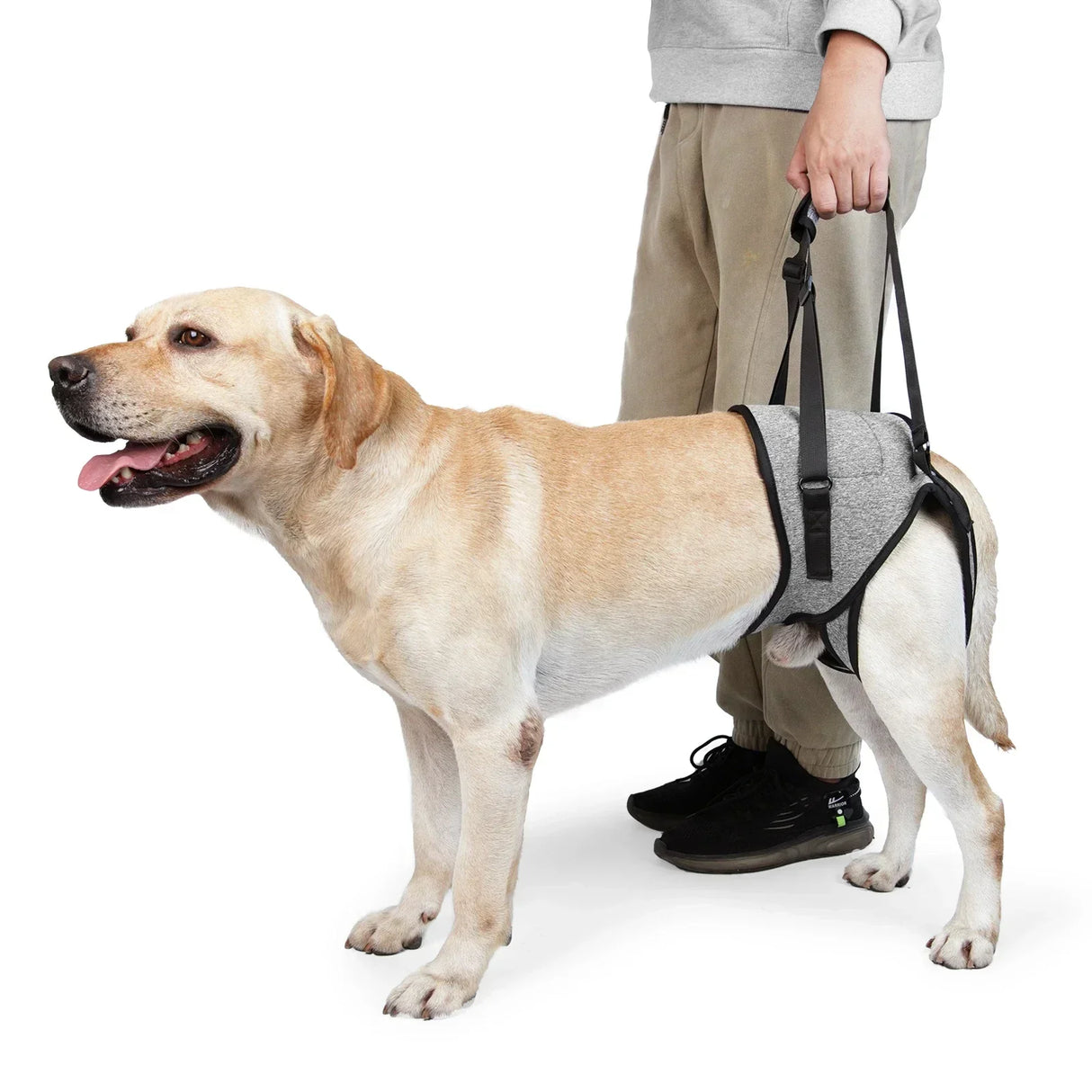 Dog Harness Support Brace for Leg Injury Protector