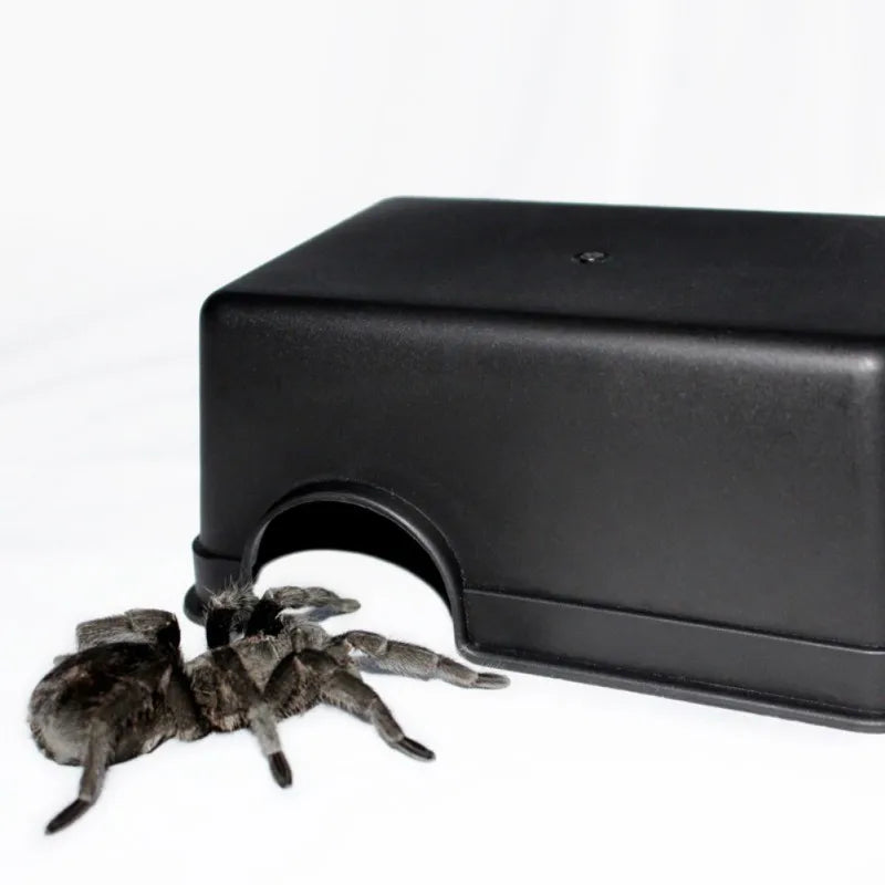 Reptile Hide Box Small Reptiles Pets Toys Gecko