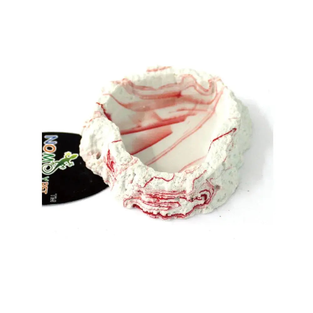 Reptile Accessories Amphibian Reptiles Drinking Bowl For Terrarium