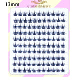 10 Pairs Fairy False Eyelashes Little Devil Individual