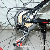1000W 2000W power mountain bike lithium electric bicycle