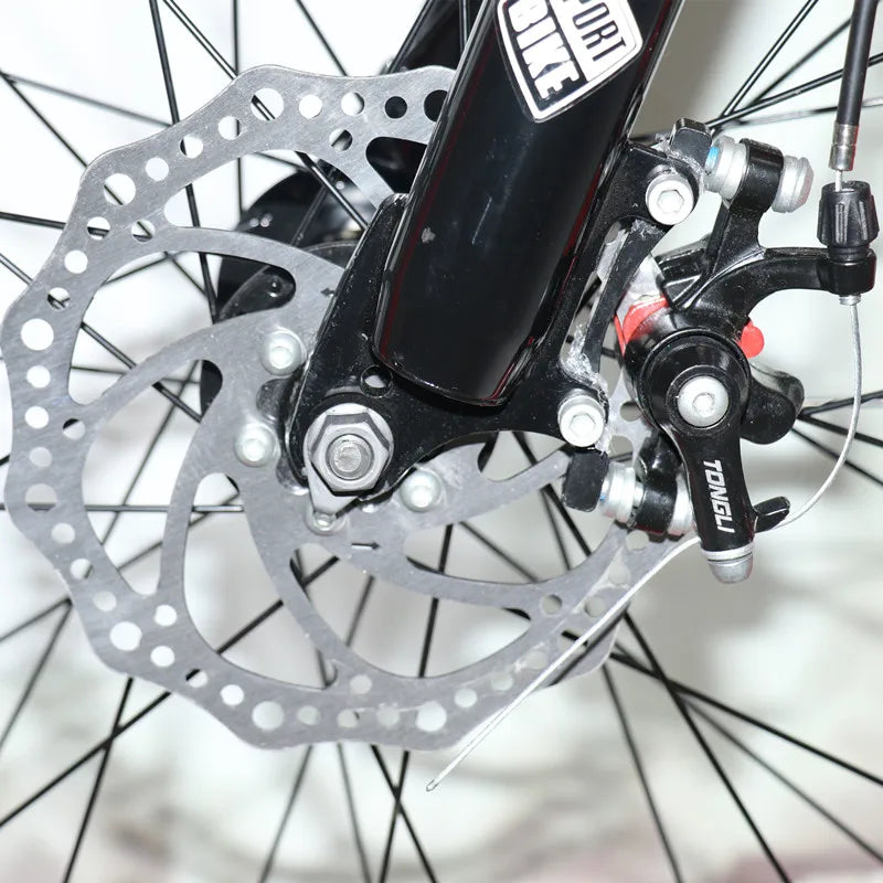 1000W 2000W power mountain bike lithium electric bicycle
