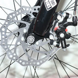 1000W 2000W power mountain bike lithium electric bicycle