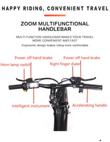 1000W 2000W power mountain bike lithium electric bicycle