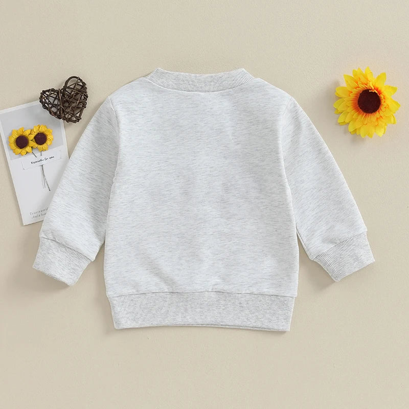2023-09-09 Lioraitiin Toddler Baby Boy Long Sleeve Sweatshirt