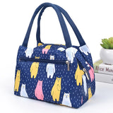 2023 Insulated Cooler Bag for Women