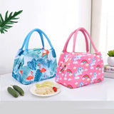 2023 Insulated Cooler Bag for Women
