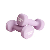 2Pcs Dumbbell Fitness Equipment Stable Durable Dumbbell 0.5kg