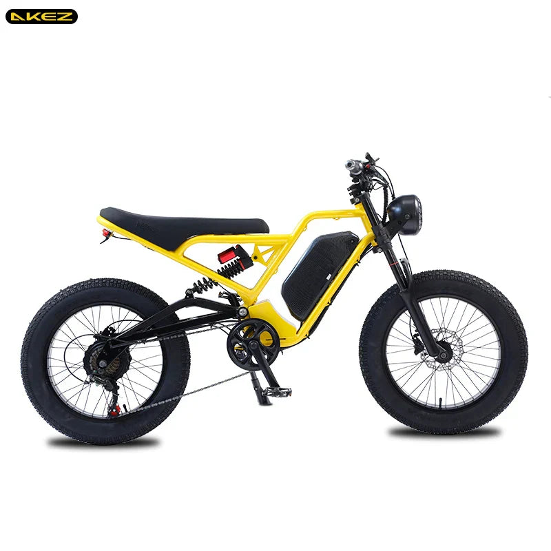 48V 750W 1500W AKEZ Aluminum Frame Electric Bicycle
