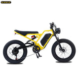 48V 750W 1500W AKEZ Aluminum Frame Electric Bicycle