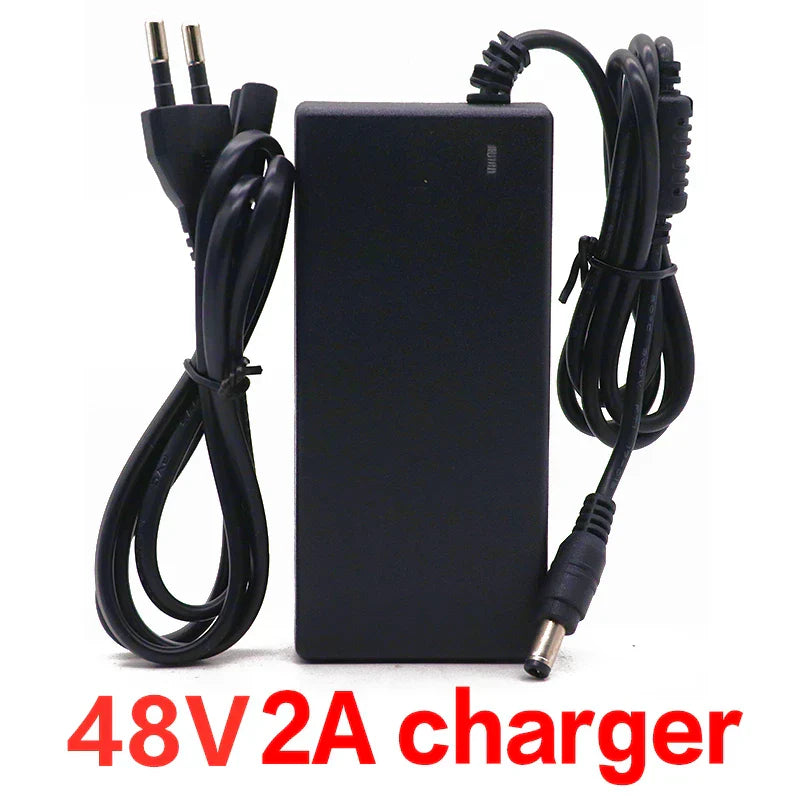 48v Lithium ion Battery 48V 20Ah 1000W 13S3P