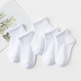 5 Pairs/Lot Summer New Children Cotton Socks Fashion